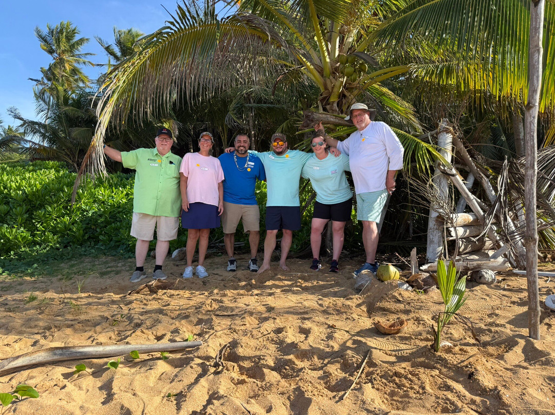 Coconut Revolution 101-圣胡安必去景点