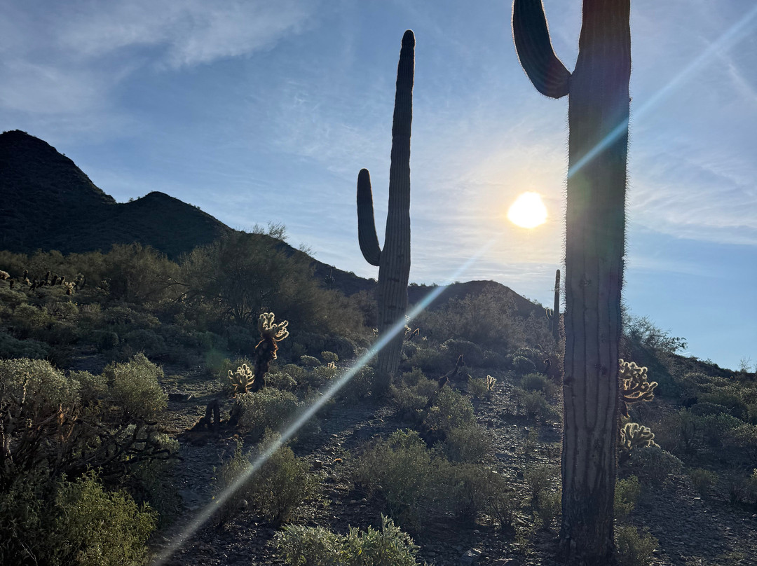 McDowell Sonoran Preserve-斯科茨代尔必去景点
