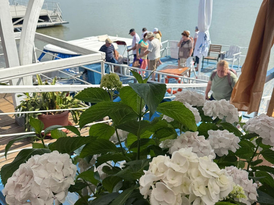 Pensiunea Paradise Delta House主图