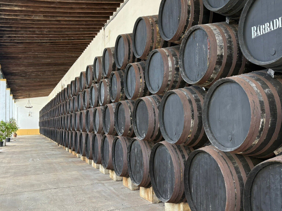 Bodegas Barbadillo-Sanlucar de Barrameda必去景点