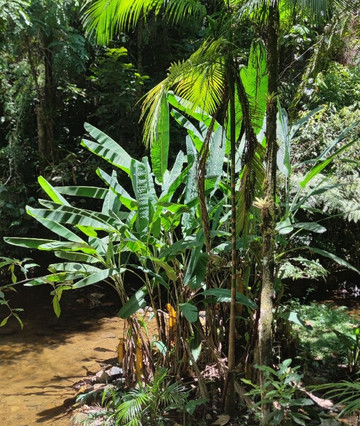 Cachoeiras do Sem Fim-伊波兰加必去景点