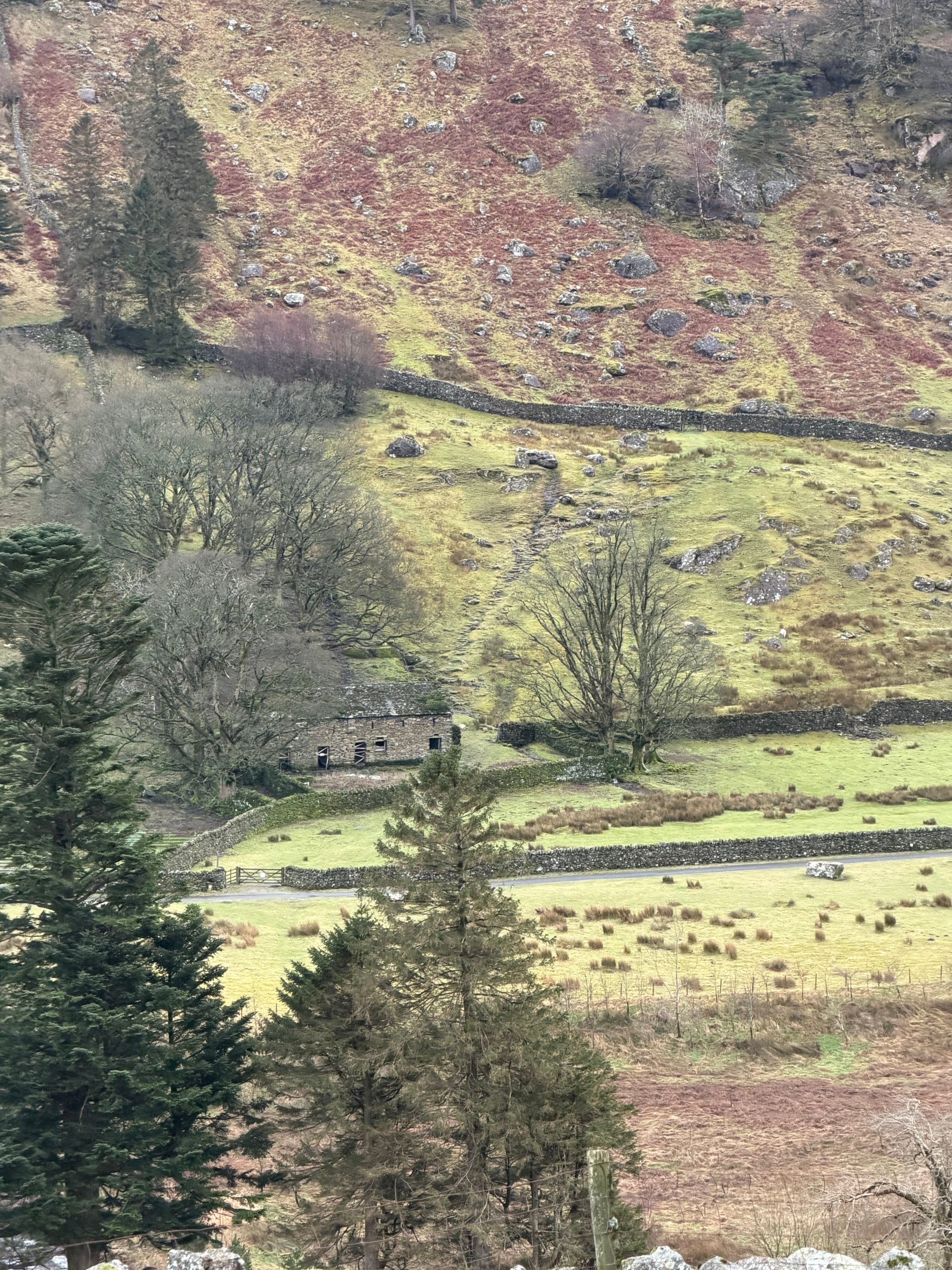 The Patterdale Hotel-官方