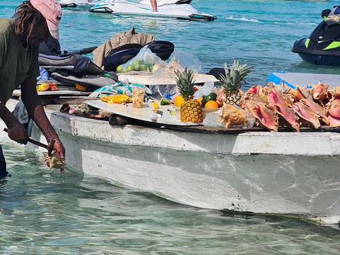 Baha Tours-拿骚必去景点