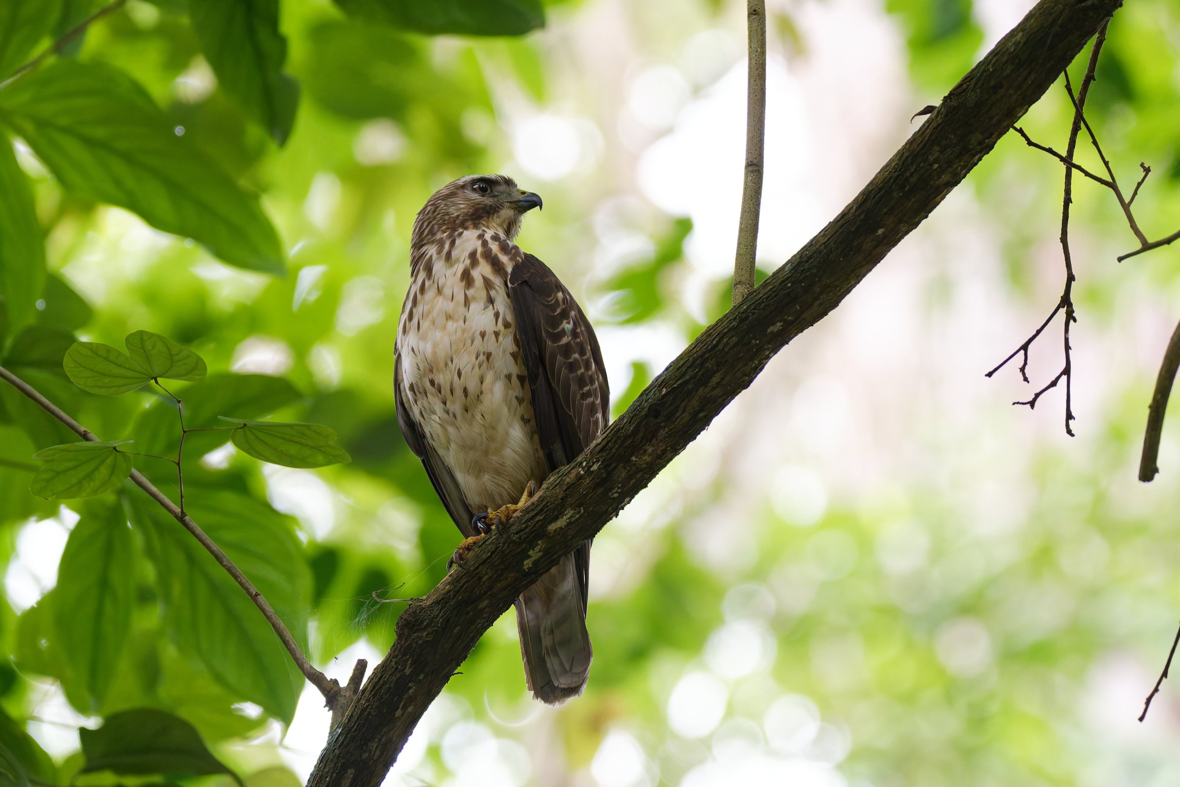 La Kukula Lodge-浴室
