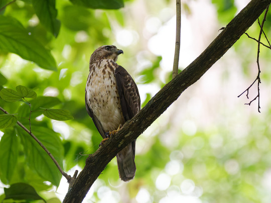 La Kukula Lodge主图