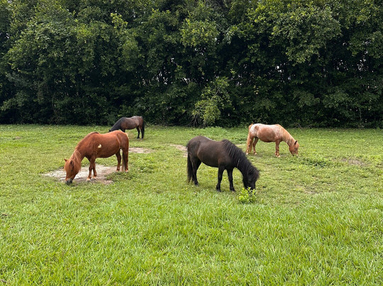 Parque Carlos Sarmiento Lora-Tulua必去景点