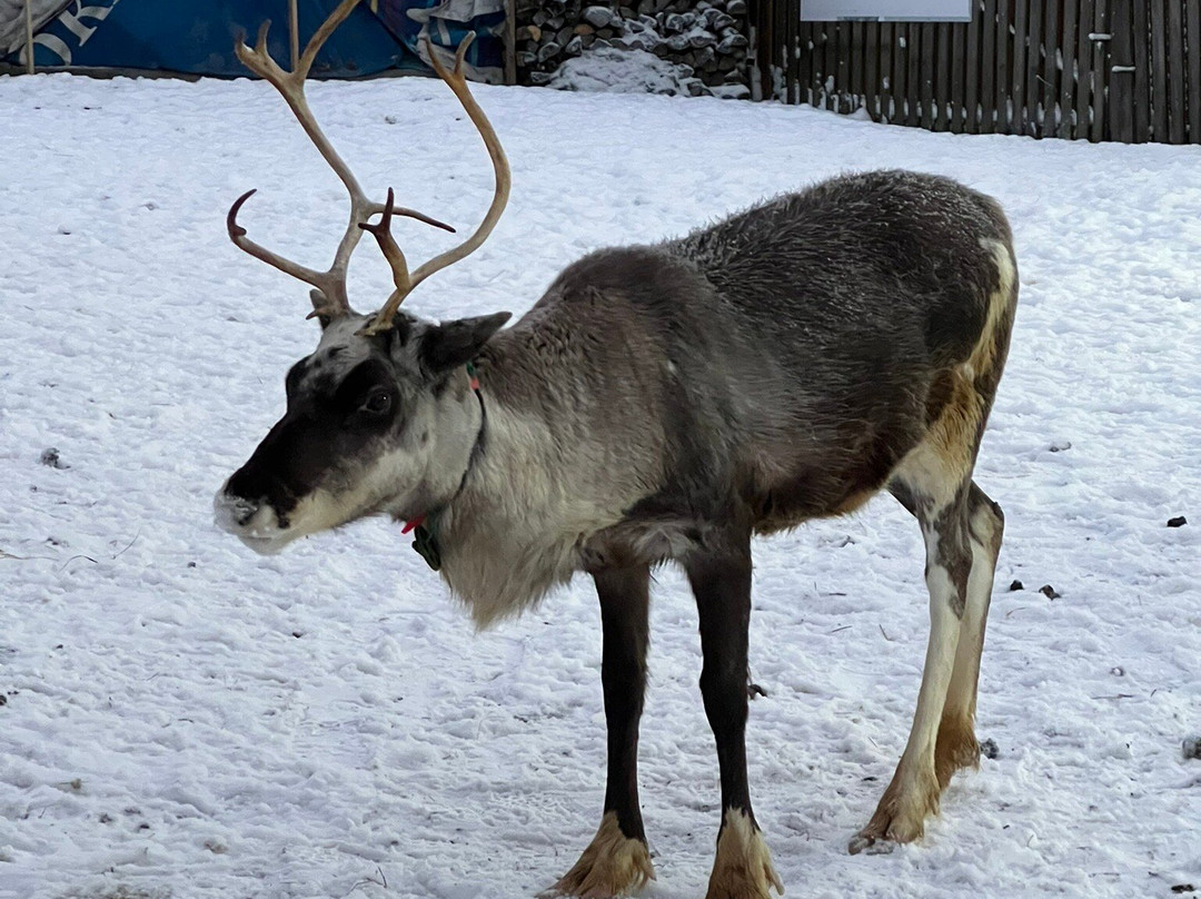 Kola Peninsula-Murmansk Oblast必去景点