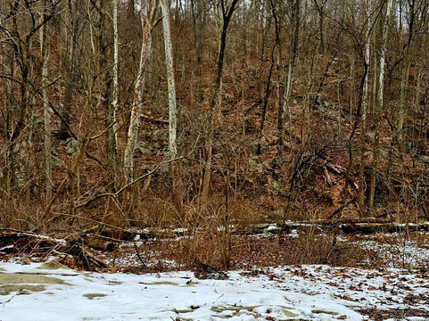 Rowlandsville Fishing Park-Conowingo必去景点