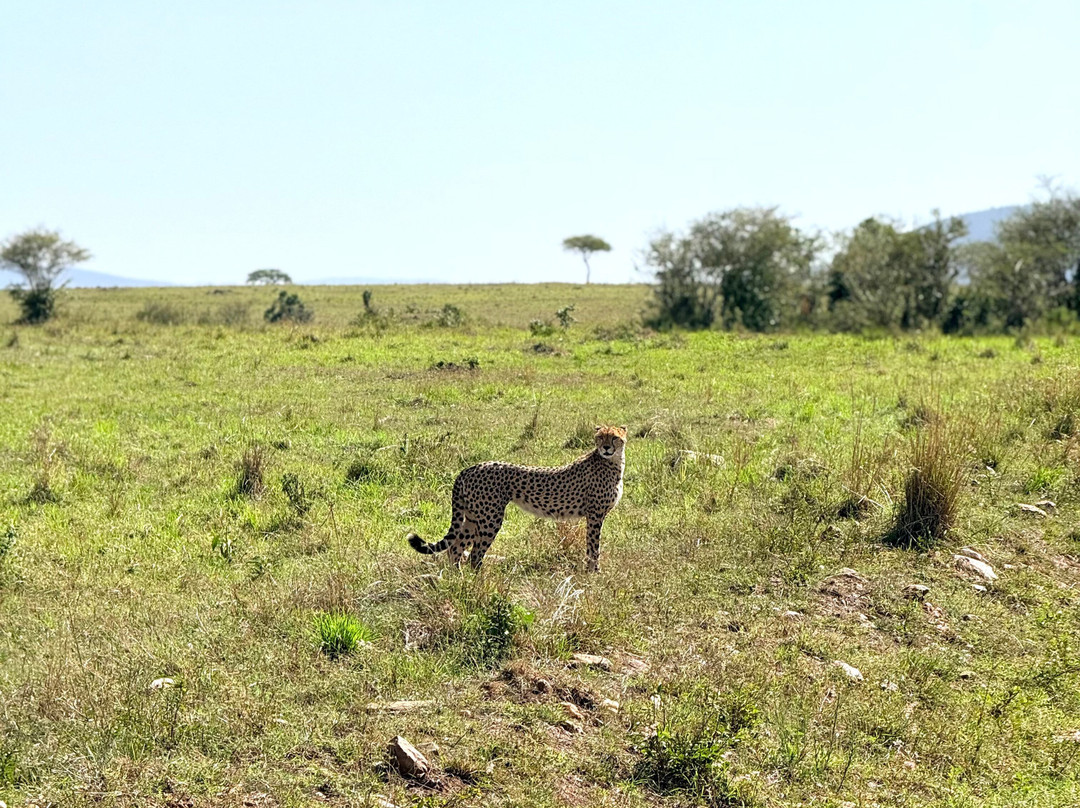 African Quest Safaris-蒙巴萨必去景点