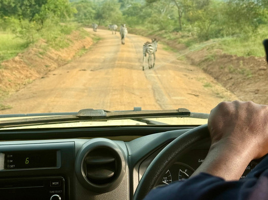 Nkuringo Safaris-布恩迪难以穿越的国家公园必去景点