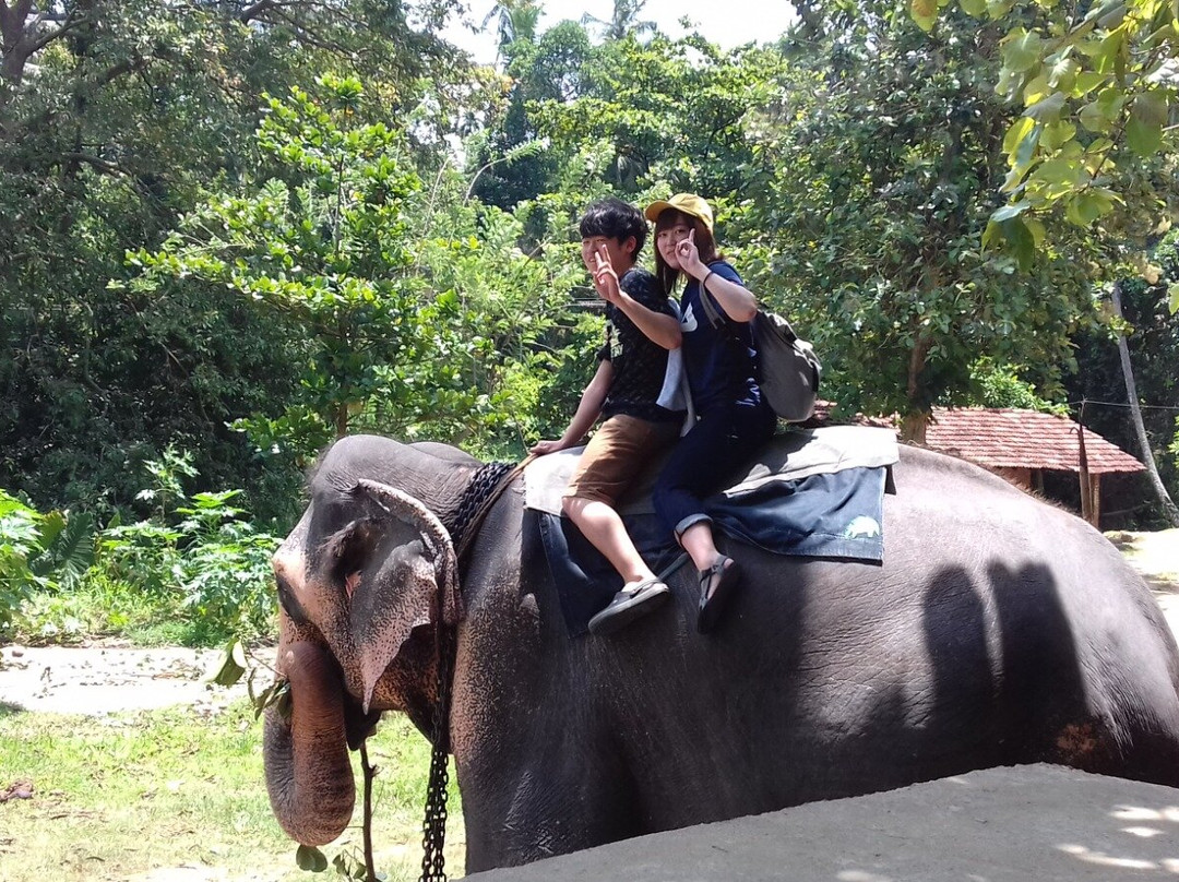 Goko Tours-加勒必去景点