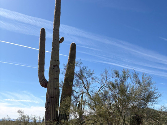 Apache Trail Tours-Apache Junction必去景点
