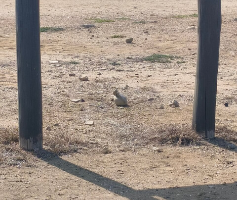 La Chocolatera-萨利纳斯必去景点