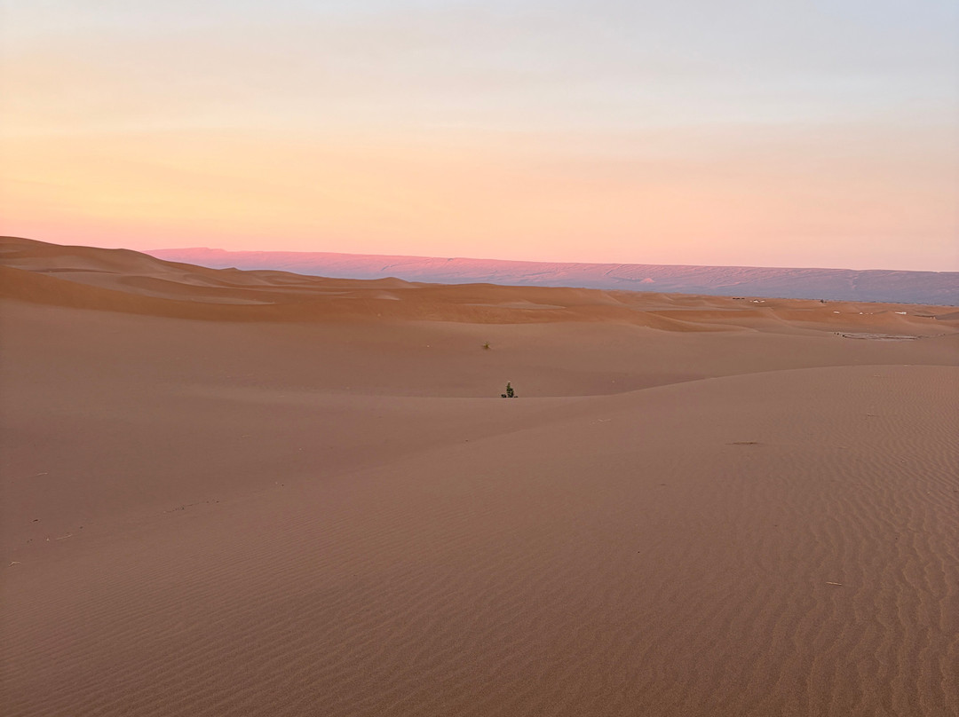 On Desert Travel-迈哈米德必去景点