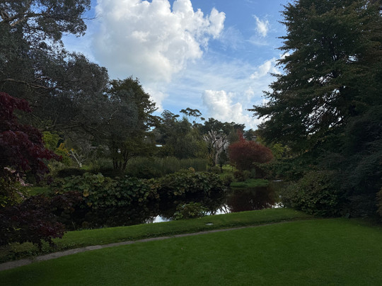 Mount Usher Gardens-Ashford必去景点