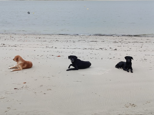 Parque Nacional do Superagui-Guaraquecaba必去景点