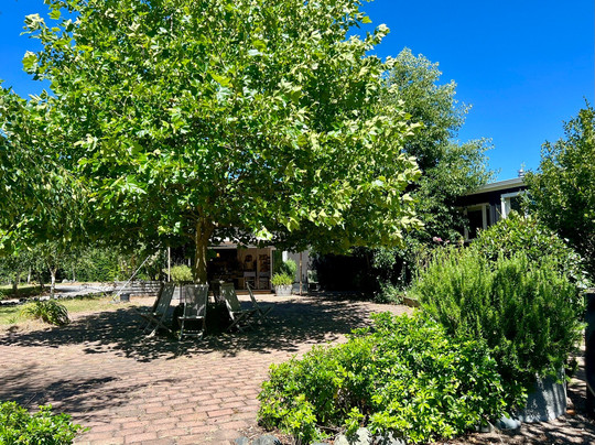 Tukairangi Gallery-Acacia Bay必去景点