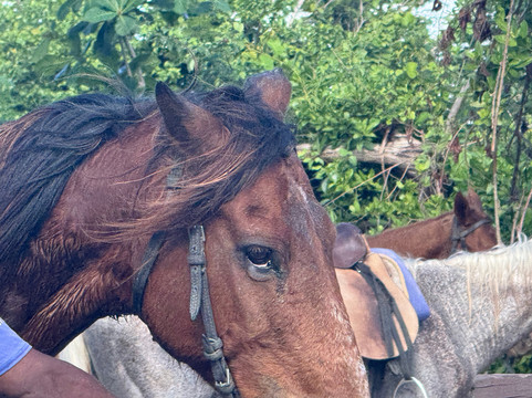 Chukka Seville Outpost-Priory必去景点