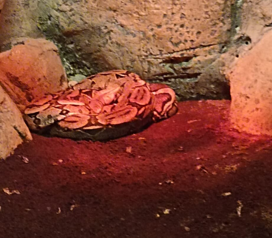 Aqua Vega Aquarium-安卡拉必去景点