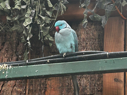 Potter's World-Lanchester必去景点