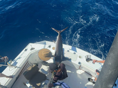 Titos Sportfishing-卡波圣卢卡斯必去景点