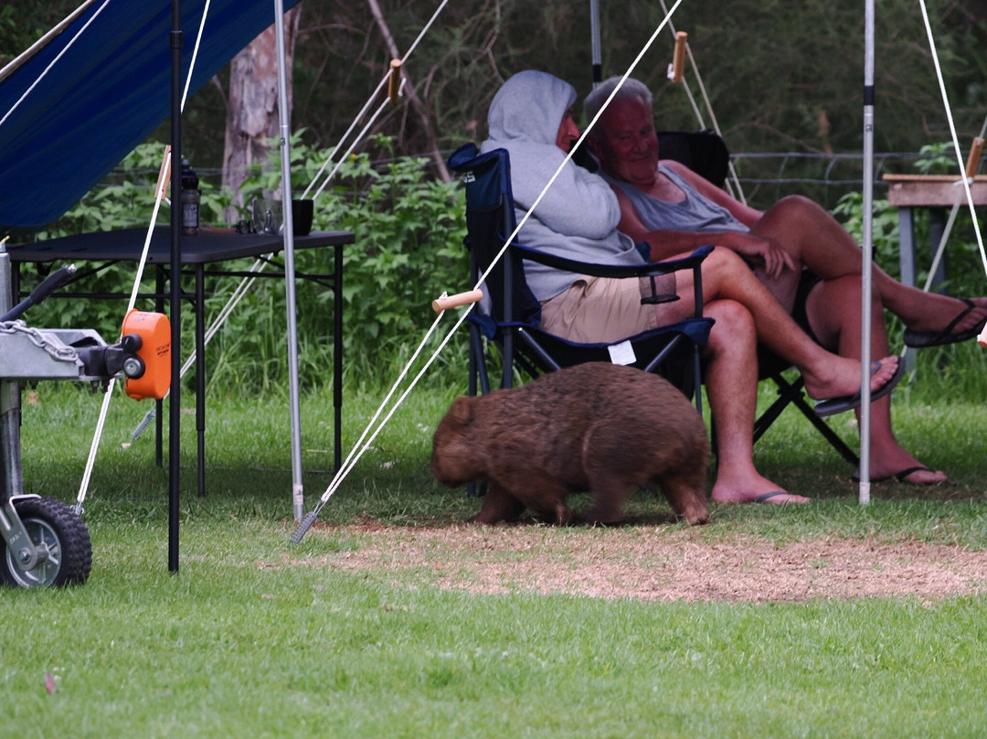 Bendeela Camping and Picnic Area-袋鼠谷必去景点