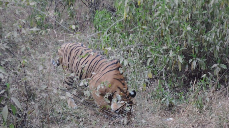 兰泰姆霍尔宫酒店主图