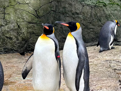 鸟园-水上伯顿必去景点