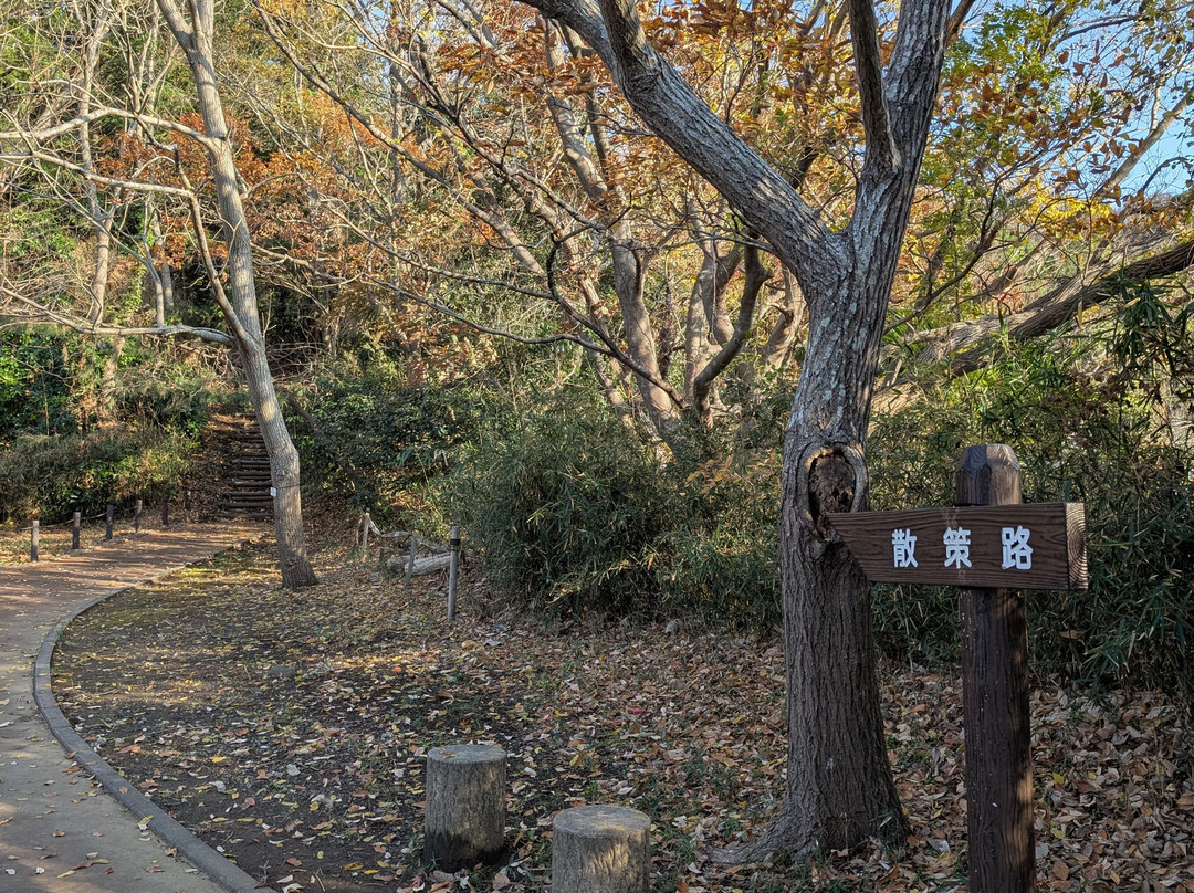 Radiant Flower Hill Park-二宫町必去景点