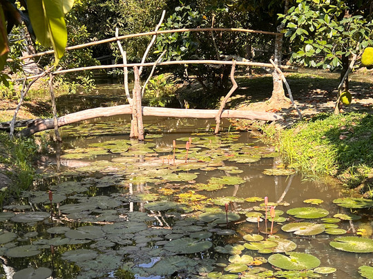 Explore Mekong Tours-芹苴必去景点