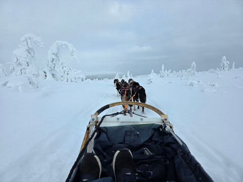 Fjallaventyr-Salen必去景点