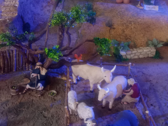 Reservorio De Piedras Semipreciosas-Colon必去景点