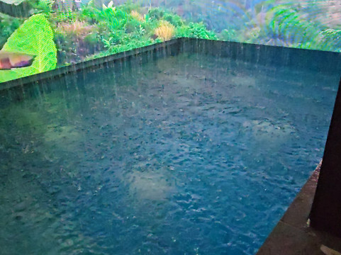 Cocoon Wellness Spa Riffa Bahrain-Riffa必去景点