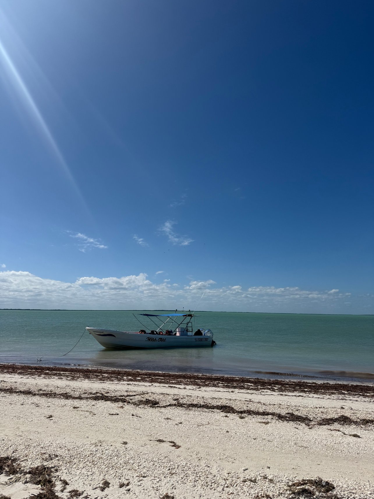 Hotel El Nido Holbox-官方