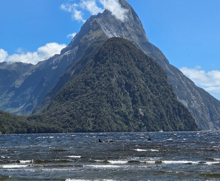 Aspiring Helicopters-瓦纳卡必去景点