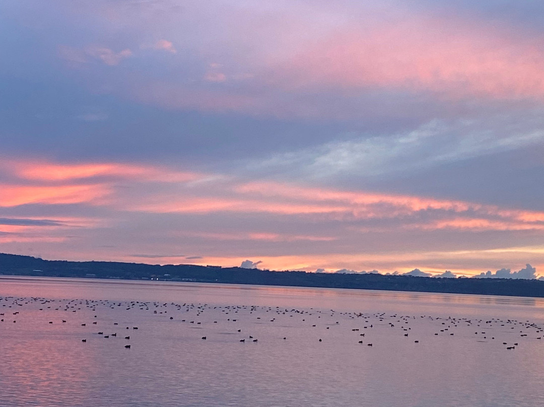 博尔格维斯塔拉戈主图