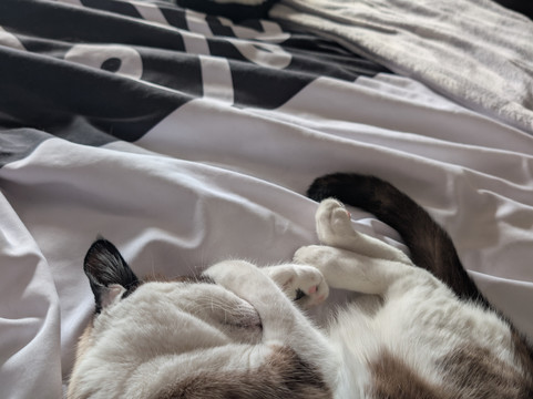 斯波坎瓦利拉昆塔温德姆套房酒店主图