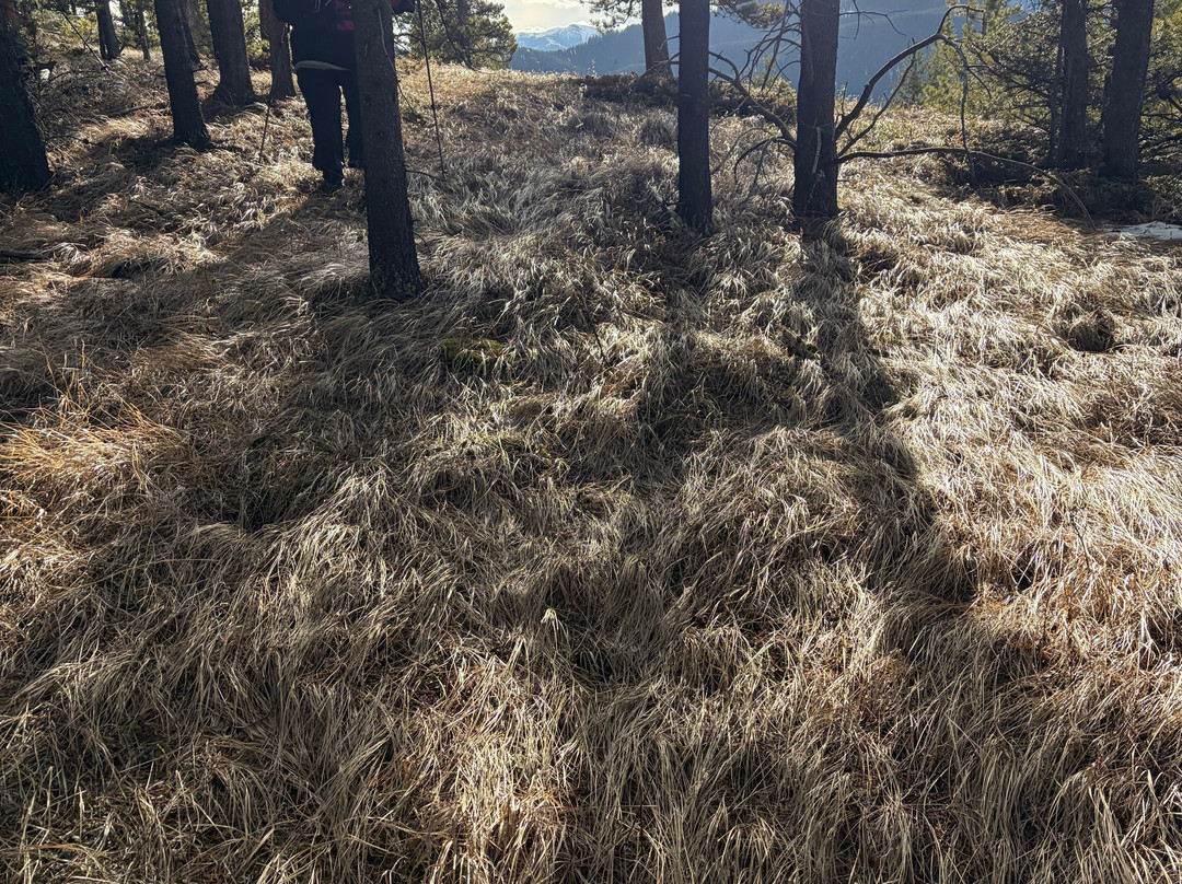 Uplift Adventures-科尔曼必去景点