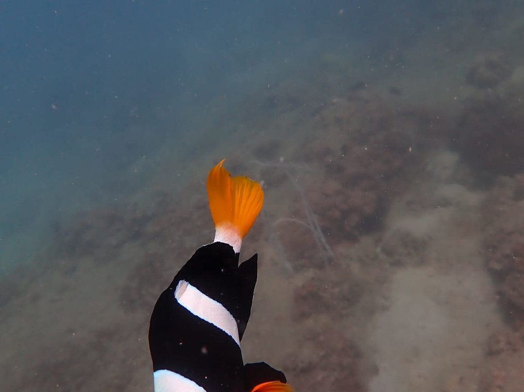 甲米萨瓦迪潜水中心-奥南必去景点