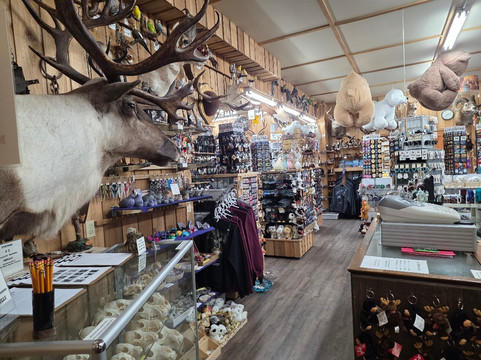 Canadian Wildlife Museum and Gift Shop-弗农必去景点