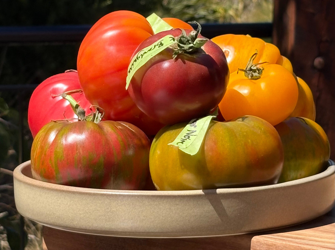 Gourmet Safaris-Cremorne必去景点