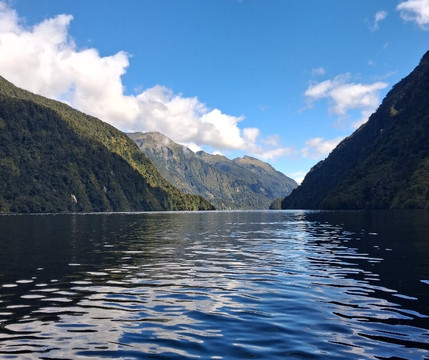 Doubtful Sound Kayak-马纳普里必去景点