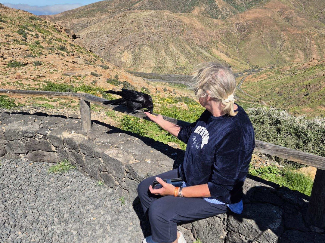 Cool Runnings-Caleta de Fuste必去景点