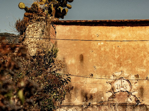 Mexique Découverte-坎昆必去景点