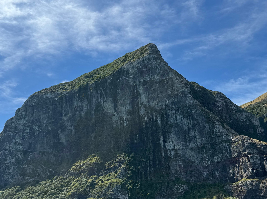 Ecoseaker Dolphin Swimming & Harbour Cruises-阿卡罗阿必去景点