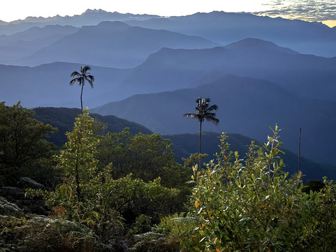Jaguarundi Travel-波哥大必去景点