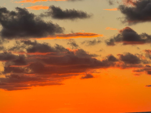 Sierpe River Camp主图