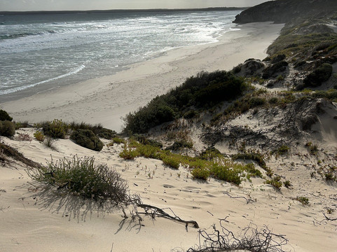 Little Sahara-袋鼠岛必去景点