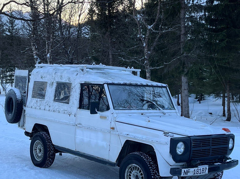 Kvaløya Husky-特罗姆瑟必去景点