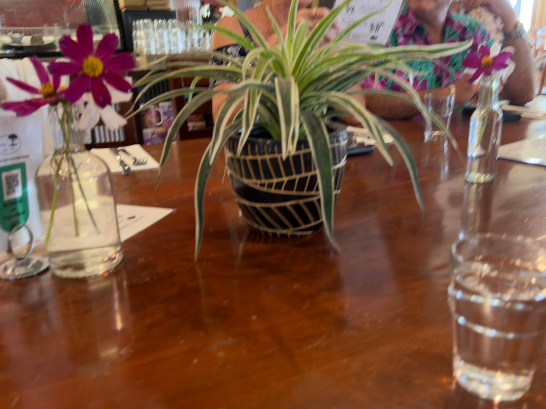 Benders Bus Tours-阿德莱德必去景点